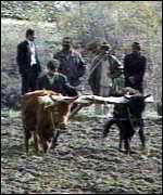 1998 _180534_farmer150