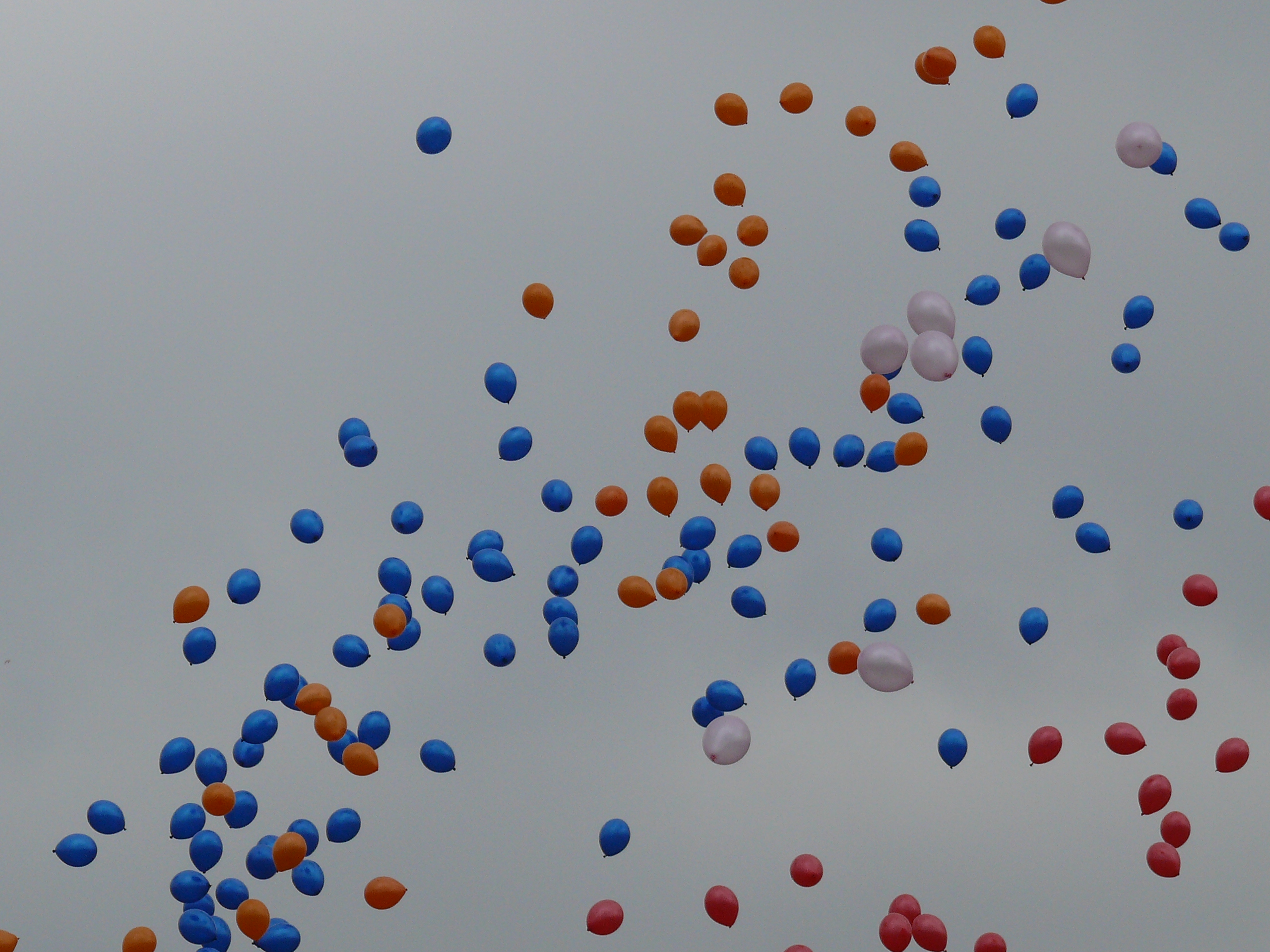 2008 06 JubileeGames P1030631