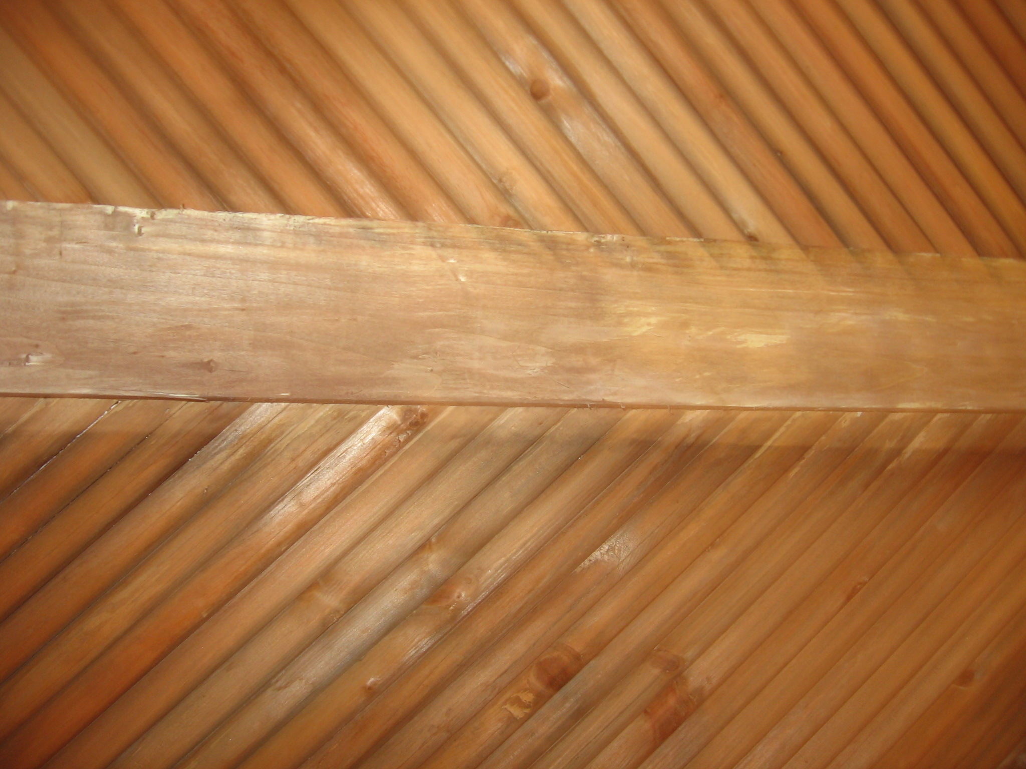 Shigar Cieling Img_0188