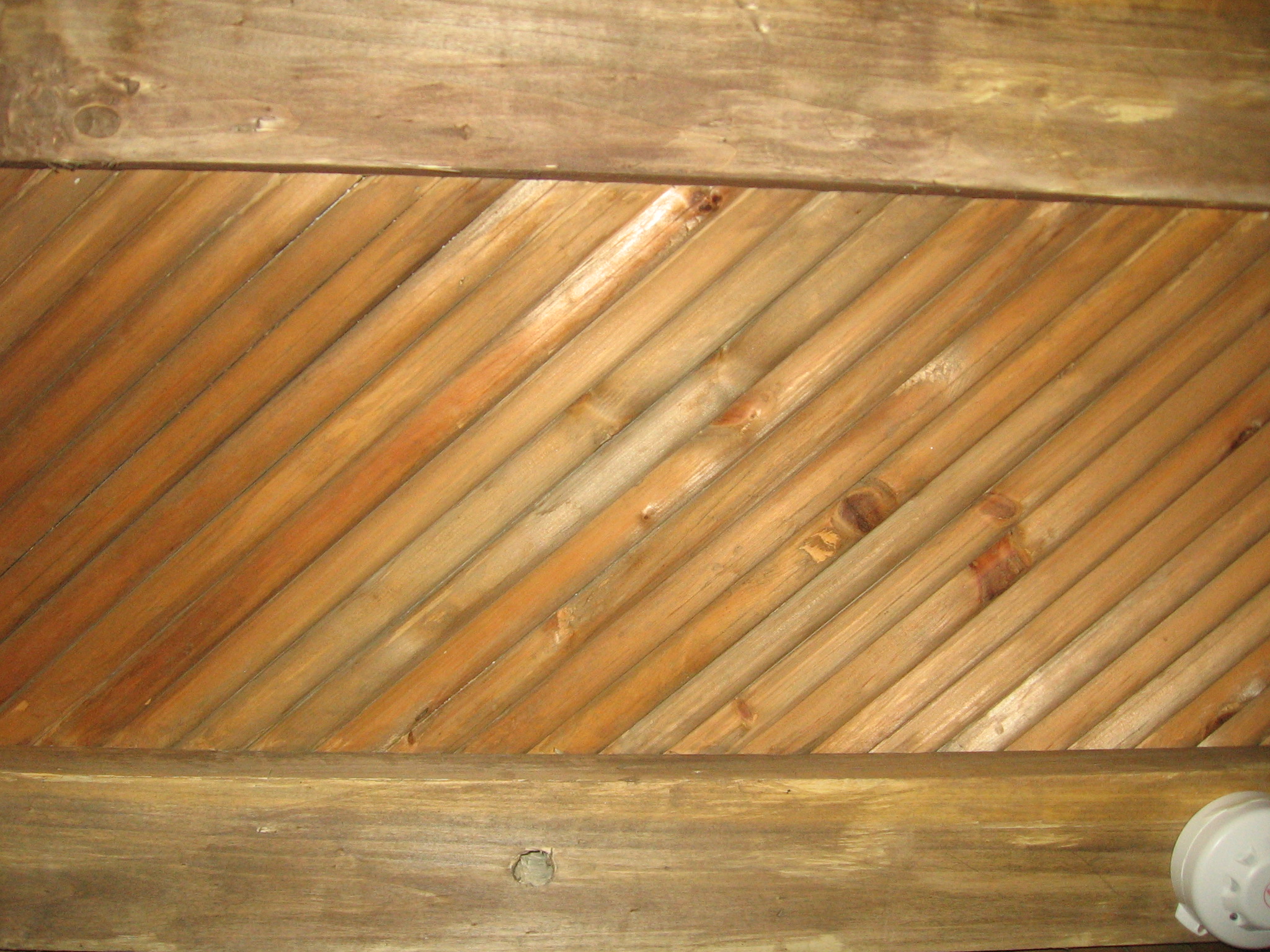 Shigar Cieling Img_0189