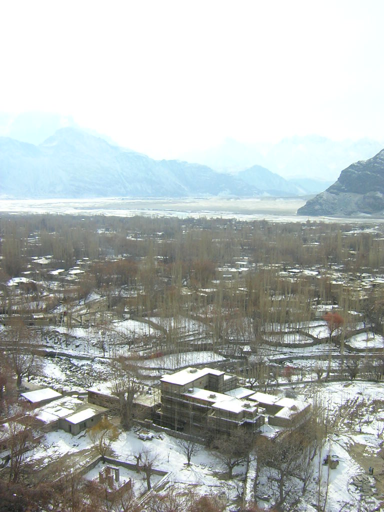 Shigar Progressive Sf0104f