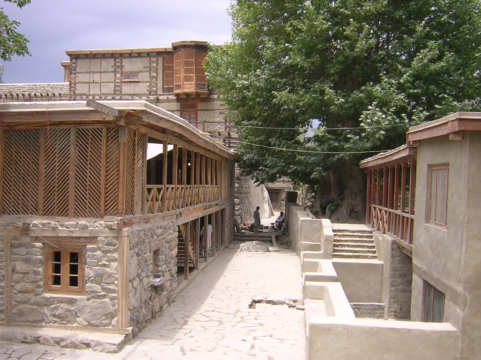 Shigar Progressive Sf0604b