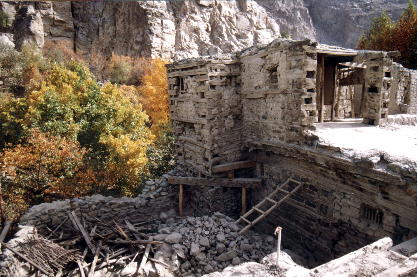 Shigar Progressive Sf1000j