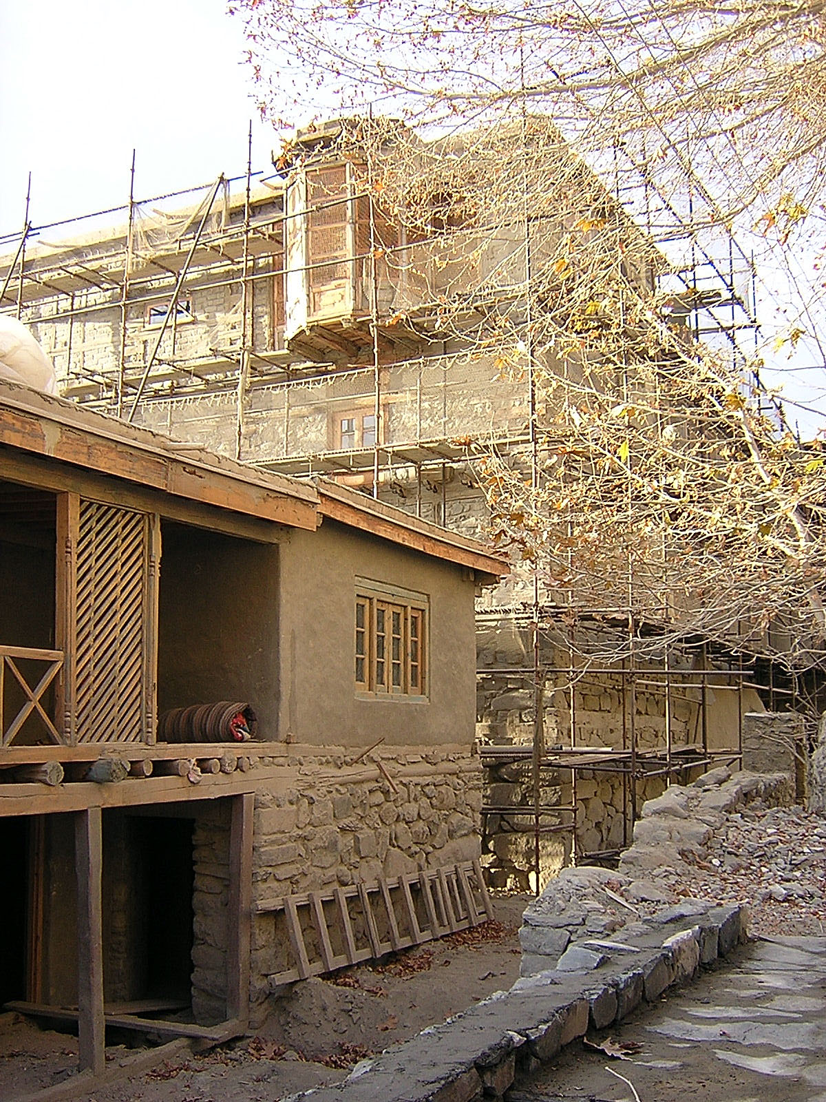 Shigar Progressive Sf1103c