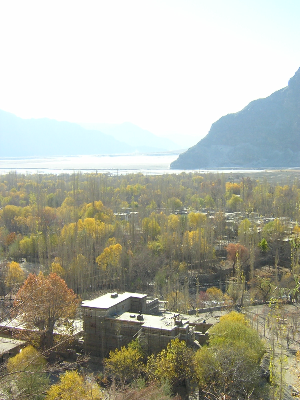 Shigar Progressive Sf1103m