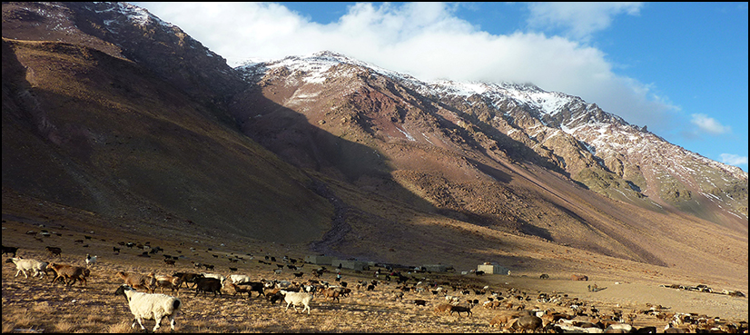 Wakhan