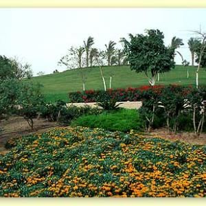 2004-11 Al-Azhar Park Cairo