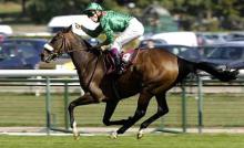 Aga Khan's Horse Zarkava Races at Longchamp -2008-10-05